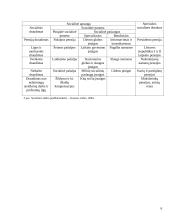 Socialinės apsaugos sistemos raida Lietuvoje 1990 – 2000 metais 6 puslapis