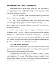 Socialinės apsaugos sistemos raida Lietuvoje 1990 – 2000 metais 7 puslapis