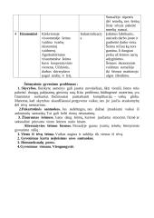 Socialiniai institutai. Šeima, jos istorinis vystymasis, funkcijos 10 puslapis