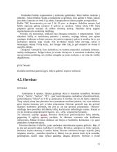 Socialiniai narkomanijos jaunimo tarpe aspektai 15 puslapis