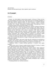 Socialiniai narkomanijos jaunimo tarpe aspektai 17 puslapis