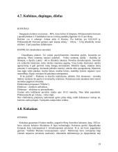 Socialiniai narkomanijos jaunimo tarpe aspektai 19 puslapis