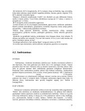 Socialiniai narkomanijos jaunimo tarpe aspektai 10 puslapis