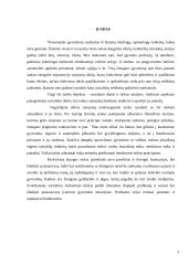 Socialinio darbo ir etikos santykis 2 puslapis