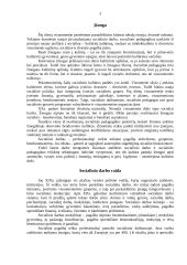 Socialinio darbo ir socialinės pedagogikos panašumai bei skirtumai 3 puslapis