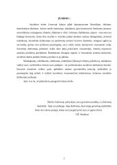 Socialinio darbo profesijos pasirinkimo motyvacija 2 puslapis