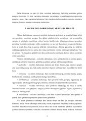 Socialinio darbo profesijos pasirinkimo motyvacija 5 puslapis