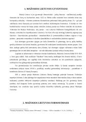 Socialinio gyvenimo ypatybės Mažojoje Lietuvoje 4 puslapis