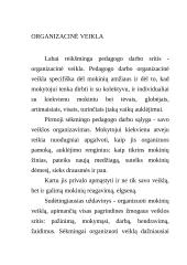Socialinio pedagogo vaidmenys 2 puslapis