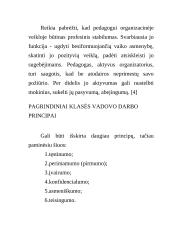 Socialinio pedagogo vaidmenys 5 puslapis