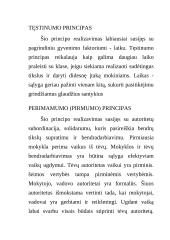 Socialinio pedagogo vaidmenys 6 puslapis