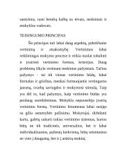 Socialinio pedagogo vaidmenys 10 puslapis
