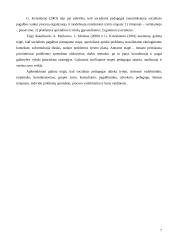 Socialinio pedagogo veiklos kryptys 7 puslapis