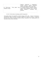 Socialinio pedagogo veiklos kryptys 10 puslapis