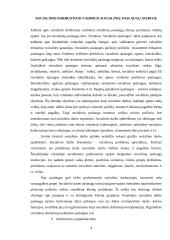 Socialinis darbas sveikatos priežiūros sistemoje 4 puslapis