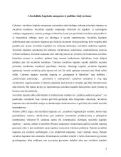 Socialinis kapitalas ir politinis dalyvavimas 3 puslapis