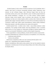 Socialinis kapitalas ir politinis dalyvavimas 8 puslapis