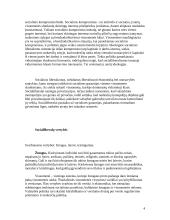 Socialinis liberalizmas 4 puslapis