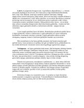 Socialinis liberalizmas 5 puslapis