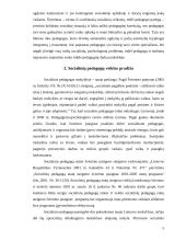 Socialinis pedagogas – viena naujausių profesijų Lietuvoje 5 puslapis