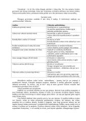 Socialinė raida ir suvokimas 2 puslapis