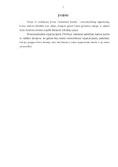 Socialinių nevyriausybinių organizacijų veikla Kauno mieste 2 puslapis