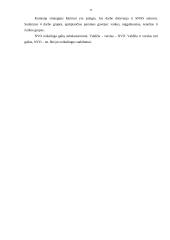 Socialinių nevyriausybinių organizacijų veikla Kauno mieste 11 puslapis