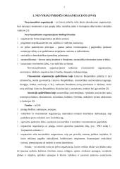 Socialinių nevyriausybinių organizacijų veikla Kauno mieste 3 puslapis