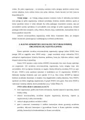 Socialinių nevyriausybinių organizacijų veikla Kauno mieste 4 puslapis
