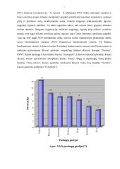 Socialinių nevyriausybinių organizacijų veikla Kauno mieste 7 puslapis