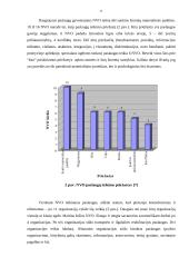 Socialinių nevyriausybinių organizacijų veikla Kauno mieste 8 puslapis