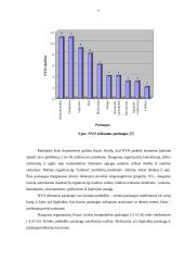 Socialinių nevyriausybinių organizacijų veikla Kauno mieste 9 puslapis