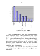 Socialinių nevyriausybinių organizacijų veikla Kauno mieste 10 puslapis