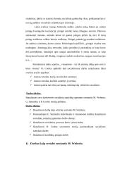 Socialinių santykių ypatumai darbovietėje 2 puslapis