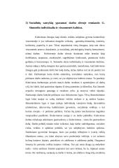 Socialinių santykių ypatumai darbovietėje 4 puslapis