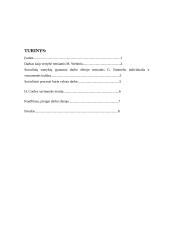 Socialinių santykių ypatumai darbovietėje 10 puslapis