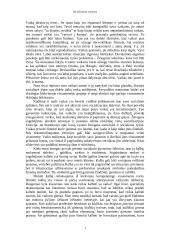 Socializacijos procesas 2 puslapis