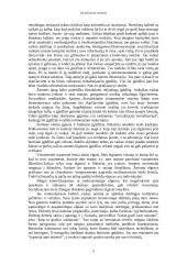 Socializacijos procesas 3 puslapis