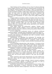 Socializacijos procesas 6 puslapis