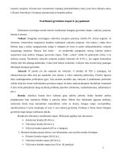 Socializacija vaikystėje 3 puslapis