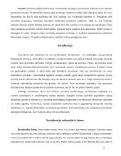 Socializacija vaikystėje 4 puslapis