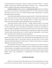 Socializacija vaikystėje 6 puslapis