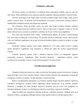 Socializacija vaikystėje 8 puslapis