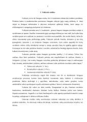 Socializacija vaikystėje ir šeimos įtaka vaiko socializacijai 3 puslapis