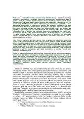 Socializmas 5 puslapis