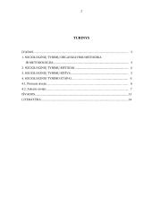 Sociologinio tyrimo metodologija ir metodika 2 puslapis