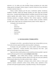 Sociologinio tyrimo metodologija ir metodika 5 puslapis
