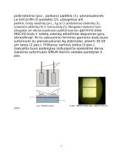 Spartusis stipraus impulsinio magnetinio lauko matuoklis 3 puslapis
