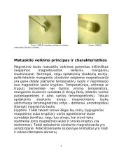 Spartusis stipraus impulsinio magnetinio lauko matuoklis 4 puslapis