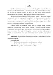 Sprendimo priėmimo metodai ir modeliai 3 puslapis